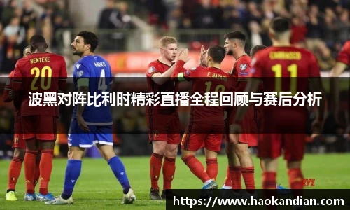 j9九游会j9九游会j9九游会波黑对阵比利时精彩直播全程回顾与赛后分析